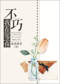 不巧我在等你第33