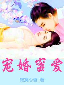宠婚密爱电视剧