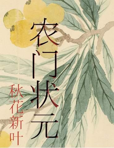 穿越之农门状元