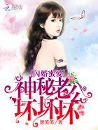 闪婚蜜爱神秘老公坏坏坏未删减版