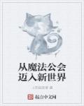 从魔法老师开始免费