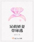 呆萌爱妻有点甜全文
