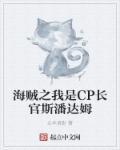海贼我是