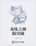 龙珠之我能无限突破txt