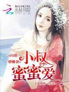 闪婚大叔的小小妻