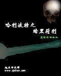 哈利波特黑暗向