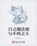 不死者之王的魔法