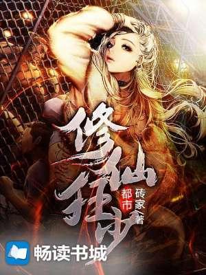 都市修仙狂婿