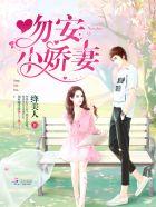 黎吻小娇妻后续剧情