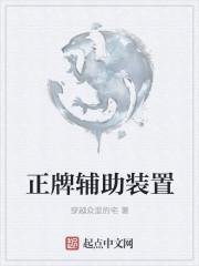 常用的辅助装置