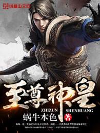 至尊神皇免费