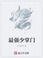 最强掌门攻略