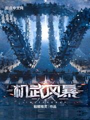 机武风暴网