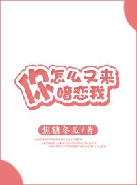 你怎么又来暗恋我晋江文学城